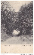 Waulsort. Entrée de la forêt