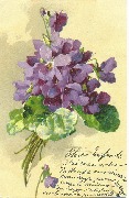 Bouquet de pensées mauves