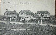 Knocke Le Zoute. Cottages dans les Dunes