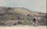 Knocke. Dans les Dunes (colorized)