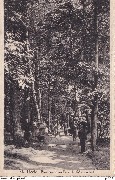 Uccle Promenade au Parc de Wolvendael