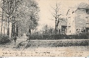 Eeckeren. Zicht in de Geesten
