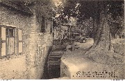 Institut hygiénique de Bruxelles  Château du Neckersgat Uccle Le Moulin et l'arbre de la comtesse de Flandre