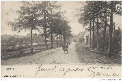 Genck. Route vers Asch