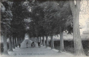 Saint-Trond. L'Allée des Soupirs