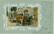 Laiti&egrave;re flamande