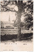 Environs de Termonde. Hamme
