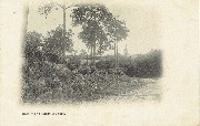 Bois Mont-Saint-Aubert.
