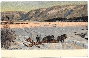 Paysage d'hiver en Norv&egrave;ge. Chevaux de traits et troncs d'arbres