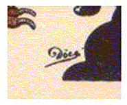 Doës Doës