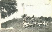 Grammont.Geeraardsbergen Sommet de la Vieille Montagne