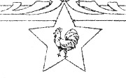 Coq dans une &eacute;toile &agrave; cinq branches