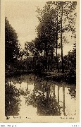 Beersel. La Senne clich&eacute; A.Hallut