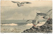 Les Mouettes
