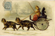 Chats humanis&eacute;s dans une cal&egrave;che