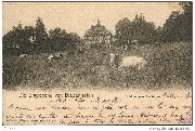 Die Umgegend von Diedenhofen. Schloss von Bettingen