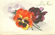 Fleurs Pens&eacute;es