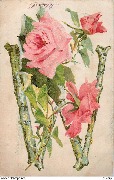 Lettre W