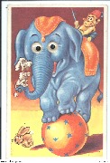 (El&eacute;phant de cirque Yeux mobiles)