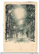 L'Avenue du Bois de Mariemont