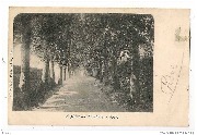 DOUR. L' Allée du Cimetière.