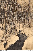 Ruisseau des Grandes Floss (For&ecirc;t de Soignes)