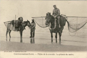 Oostduinkerke-Bains. P&ecirc;che de la crevette. La Pitance du mulet