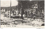Ostende. La Mingue