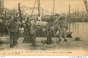 Anvers. Sc&egrave;nes du port. Un plongeur au moment de la descente