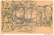 La For&ecirc;t Audergem (Eaux min&eacute;rales de Genval)