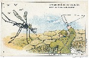 Service de Sant&eacute; des Arm&eacute;es  : 1 Des moustiques te garderas...