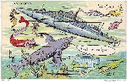 Les sports. Sous-Marins. Tiens! Un coll&egrave;gue!