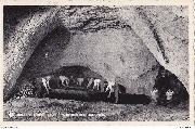 Folx-Les-Caves. Grandes champignonni&egrave;res Salle du Tigre et pr&eacute;paration des couches