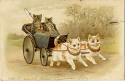Chats humanis&eacute;s dans une cal&egrave;che tir&eacute;e par deux chats blancs