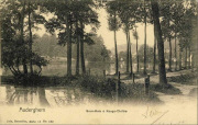 Auderghem, Sous-bois à Rouge-Cloitre Auderghem, Sous-bois à Rouge-Cloitre