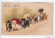 Chats humanis&eacute;s. Noce
