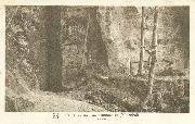 Mullerthal.Petite Suisse luxembourgeoise -Eulenbourg Mullerthal.Petite Suisse luxembourgeoise -Eulenbourg