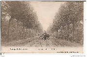 Avenue de la Reine Avenue de la Reine