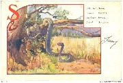 S: Slang, Serpent, Snake, Schlange S: Slang, Serpent, Snake, Schlange