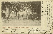 Belgique. Télégraphistes. Pose d'une Ligne