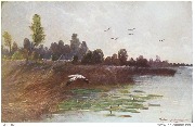 Envol d'une cigogne dans un marais