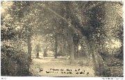(allée du Parc-chaises et  table blanches)