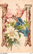 Lettre M