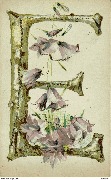 Lettre E