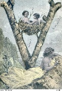 Lettre V