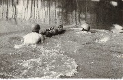 Armée Belge Belgisch Leger Paracommandos Passage d'une rivière Het overstreken van een rivier 