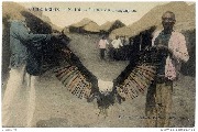 Congo Belge. L'aigle du Tanganyka.