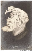 Falli&egrave;res Ier  (Arcimboldesque)