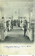 Spécimen de carte postale de la Maison H.BERTELS 129 rue Rogier Bruxelles 