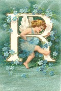 Lettre R angelot et myosotis